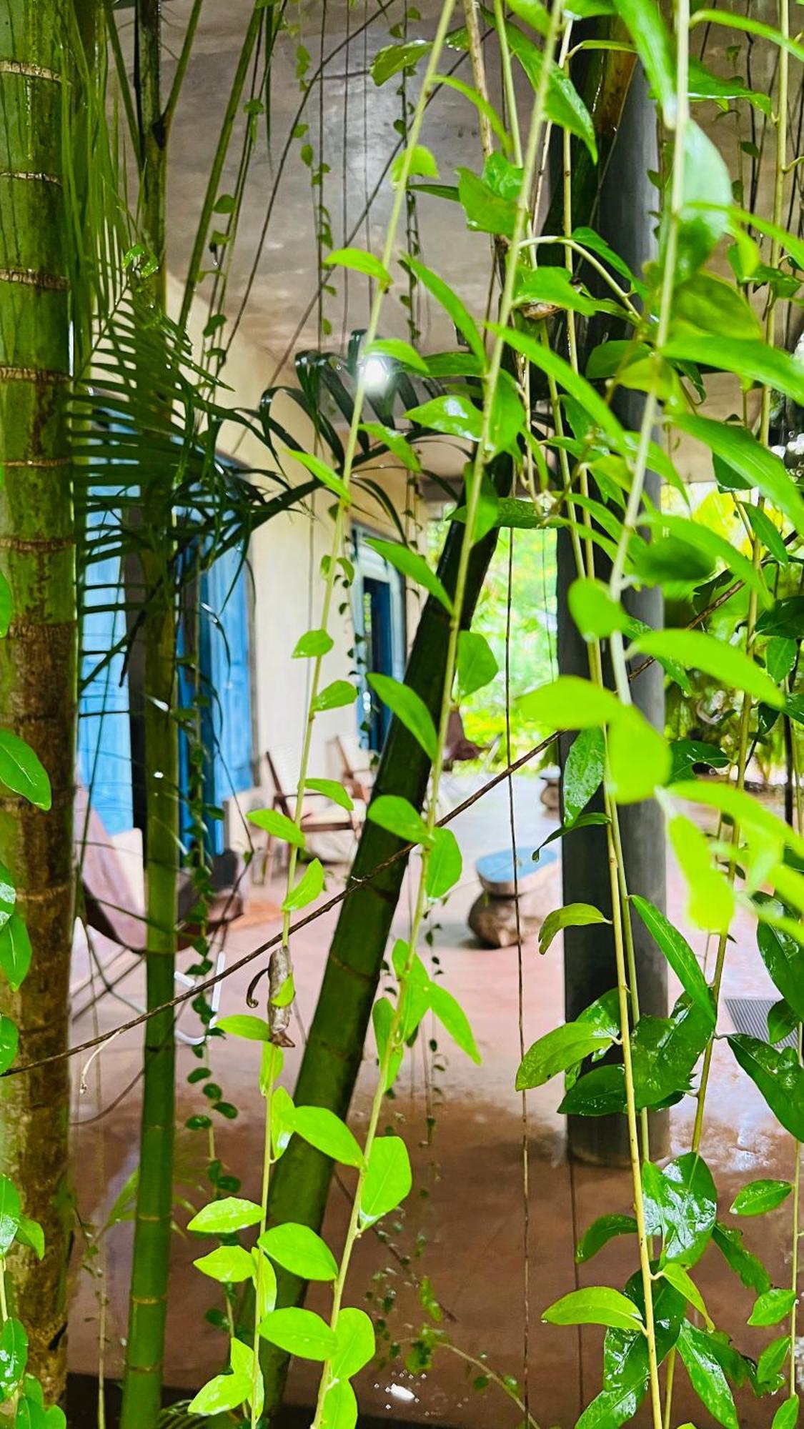 Kataragama Homestay Dış mekan fotoğraf