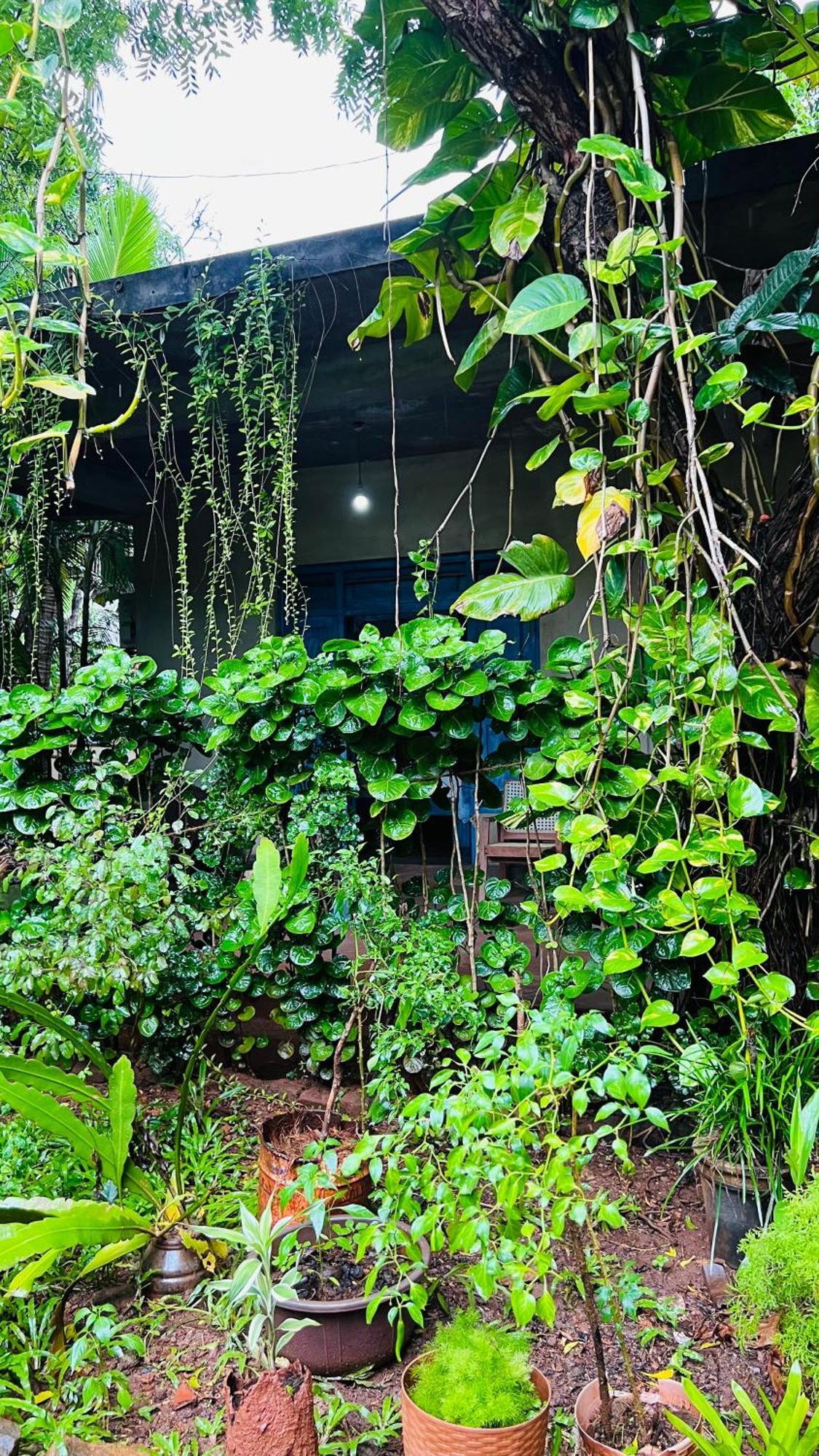 Kataragama Homestay Dış mekan fotoğraf