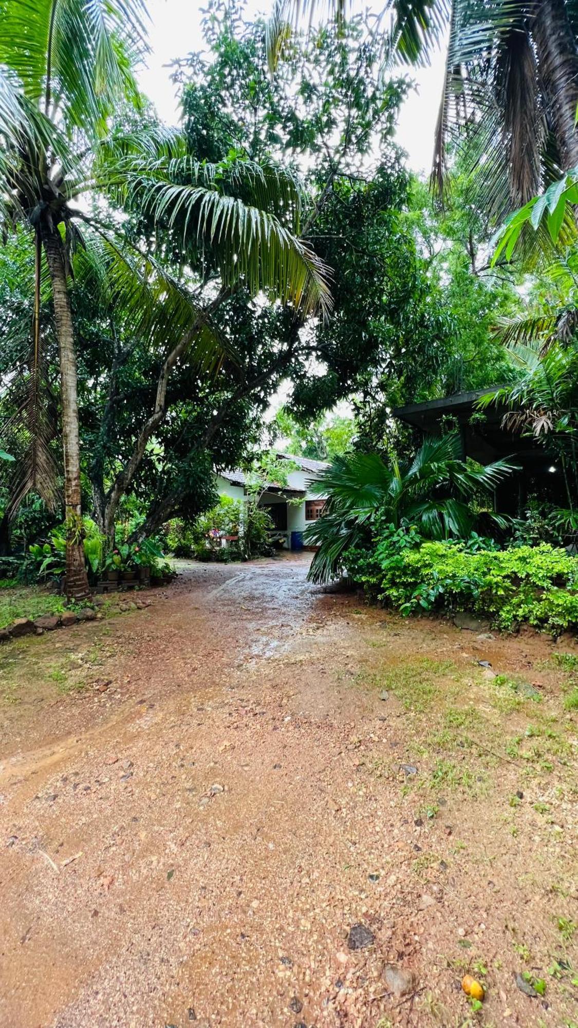 Kataragama Homestay Dış mekan fotoğraf