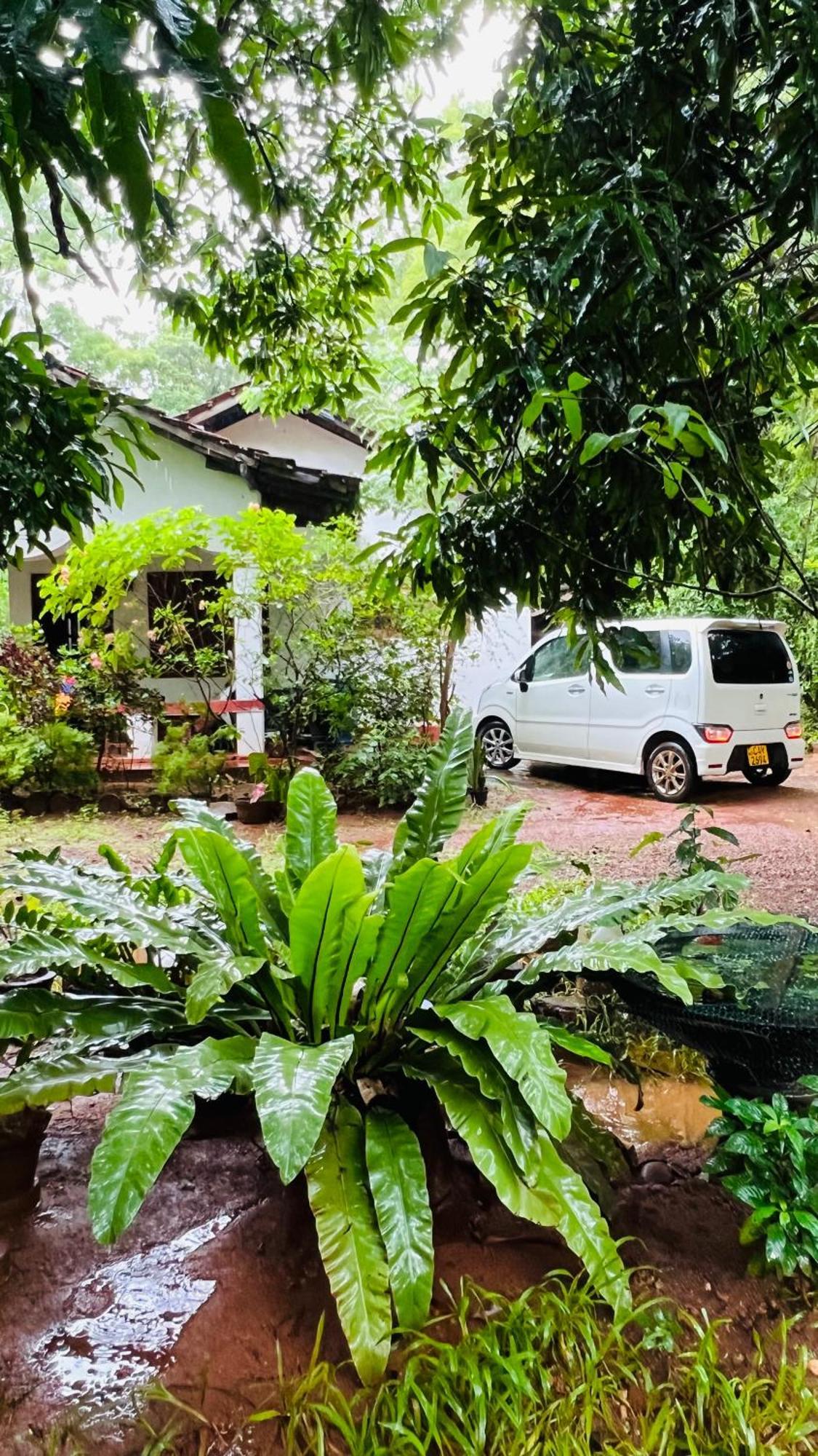 Kataragama Homestay Dış mekan fotoğraf