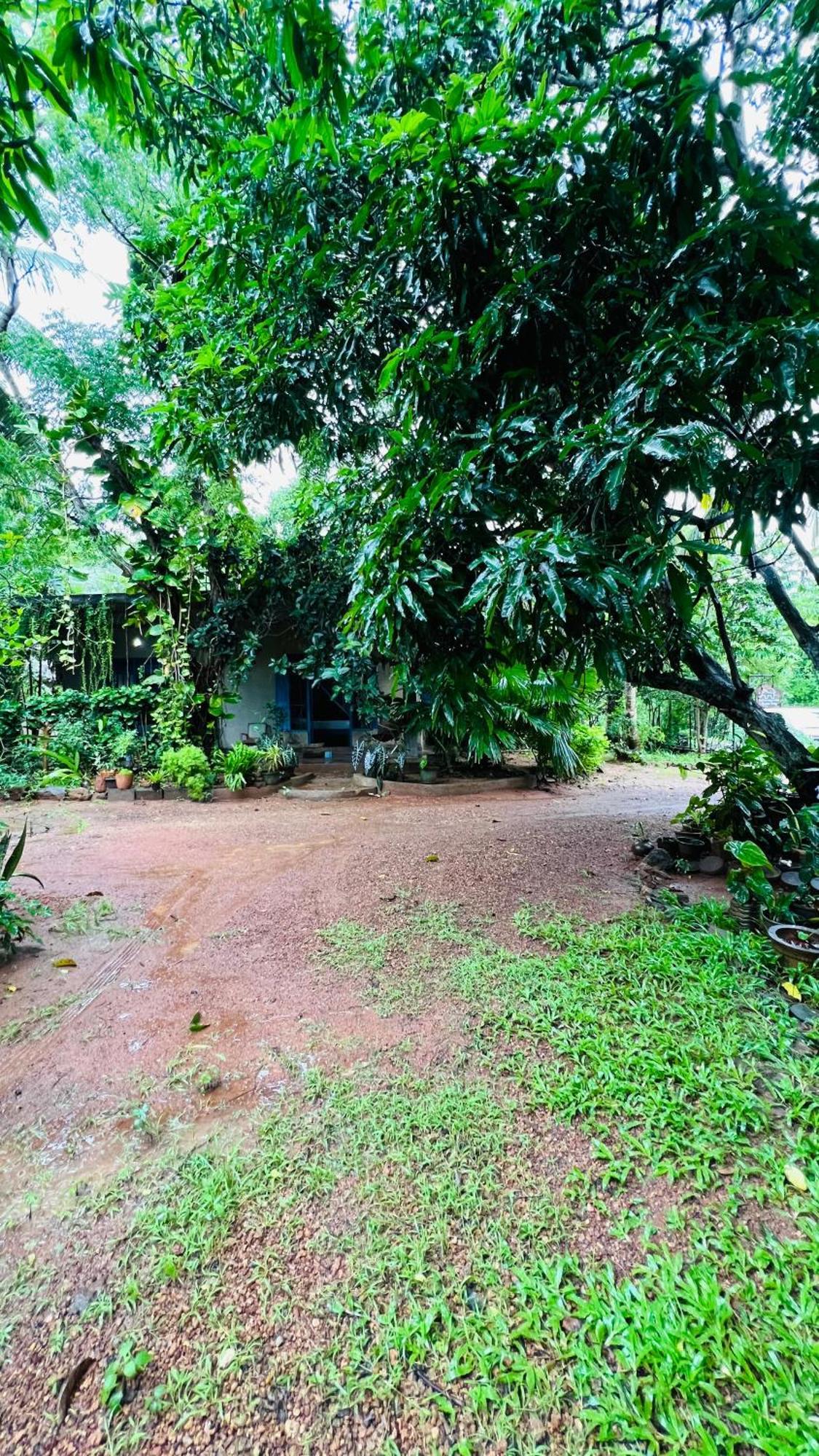 Kataragama Homestay Dış mekan fotoğraf
