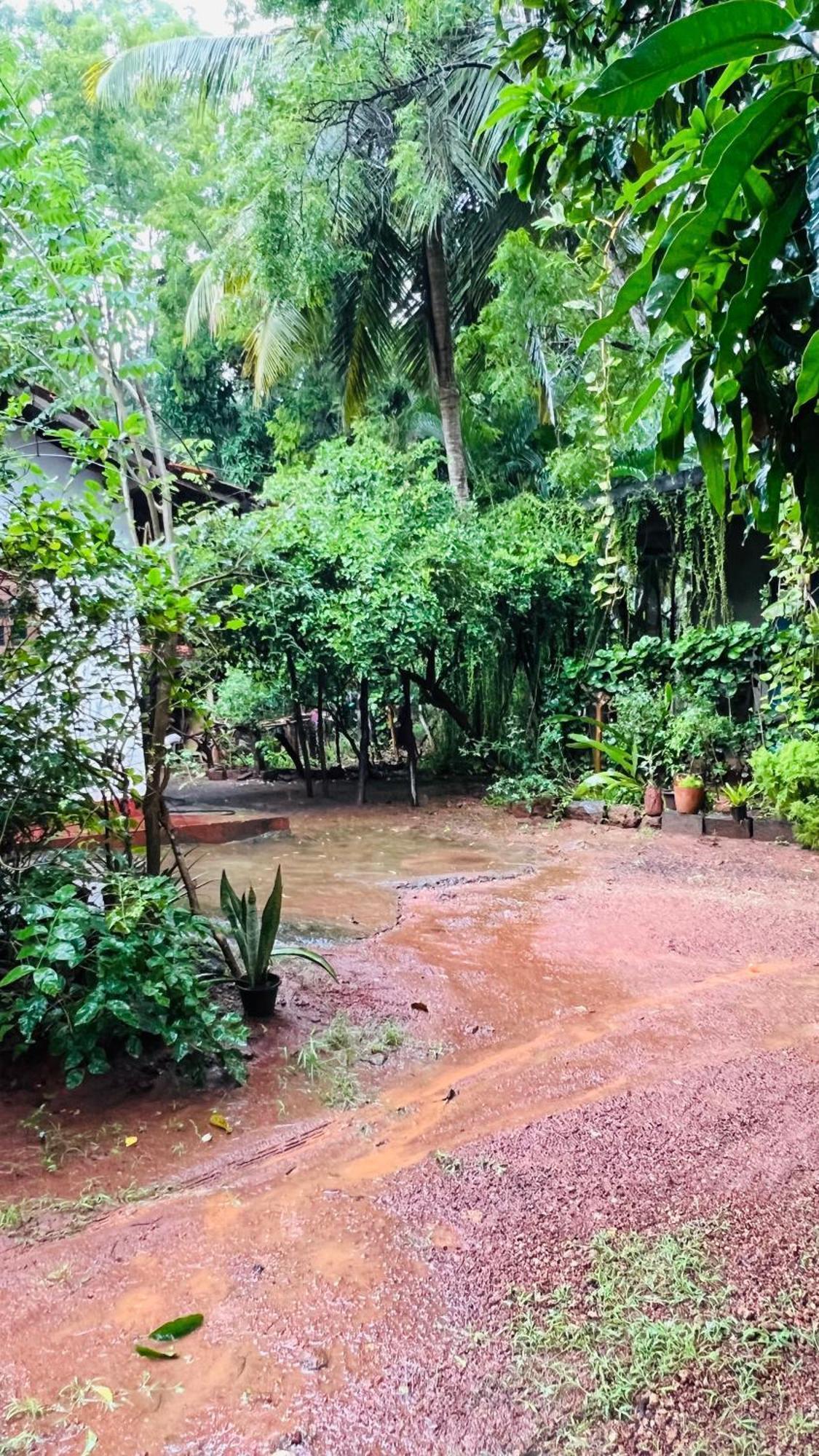 Kataragama Homestay Dış mekan fotoğraf