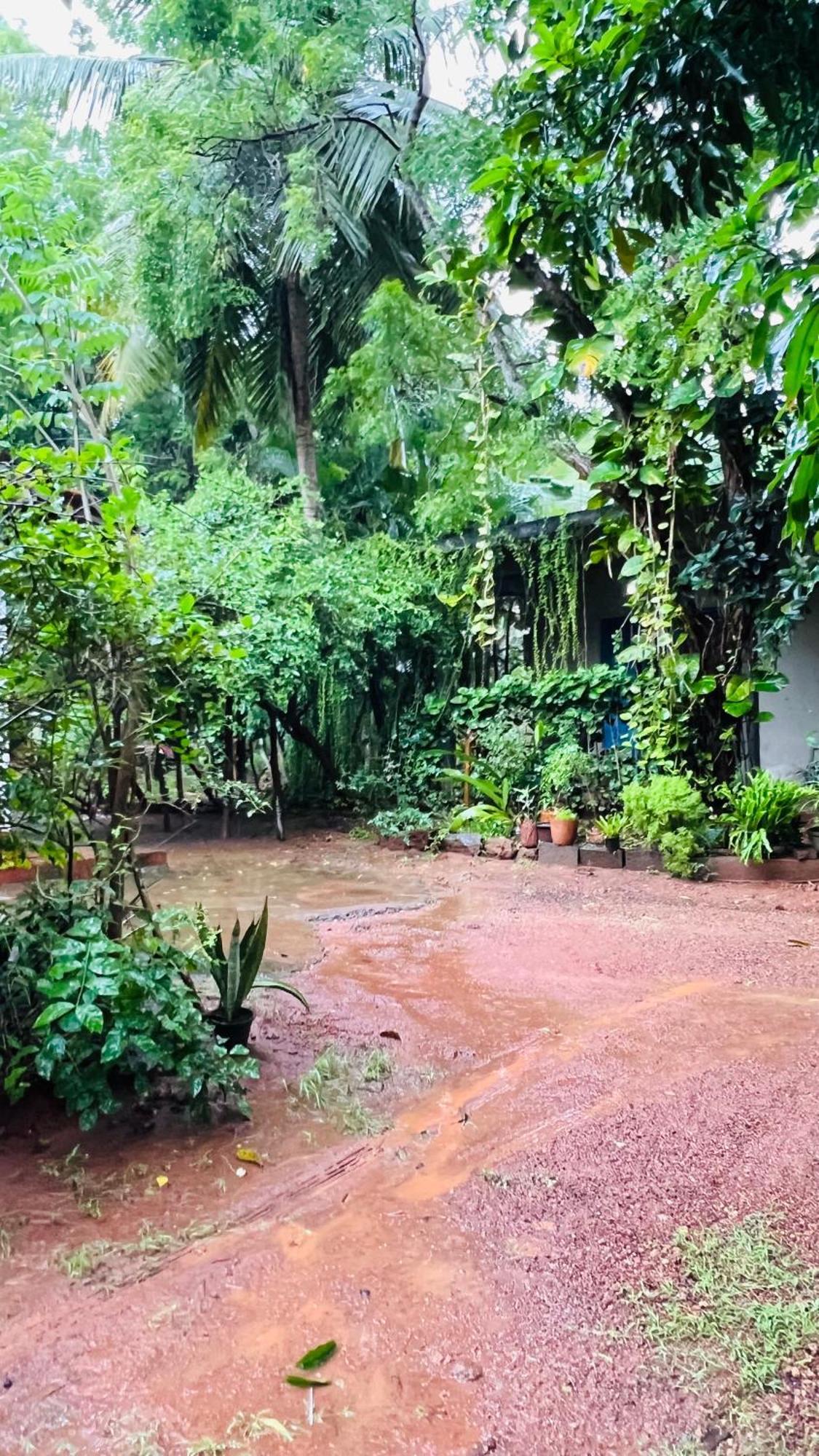 Kataragama Homestay Dış mekan fotoğraf