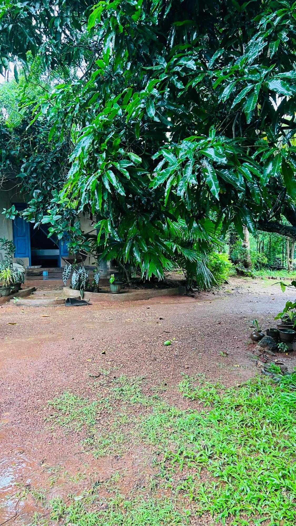 Kataragama Homestay Dış mekan fotoğraf