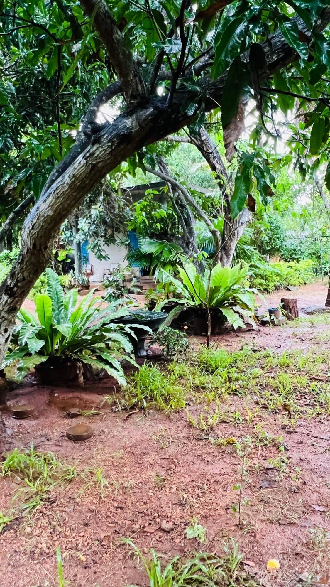 Kataragama Homestay Dış mekan fotoğraf