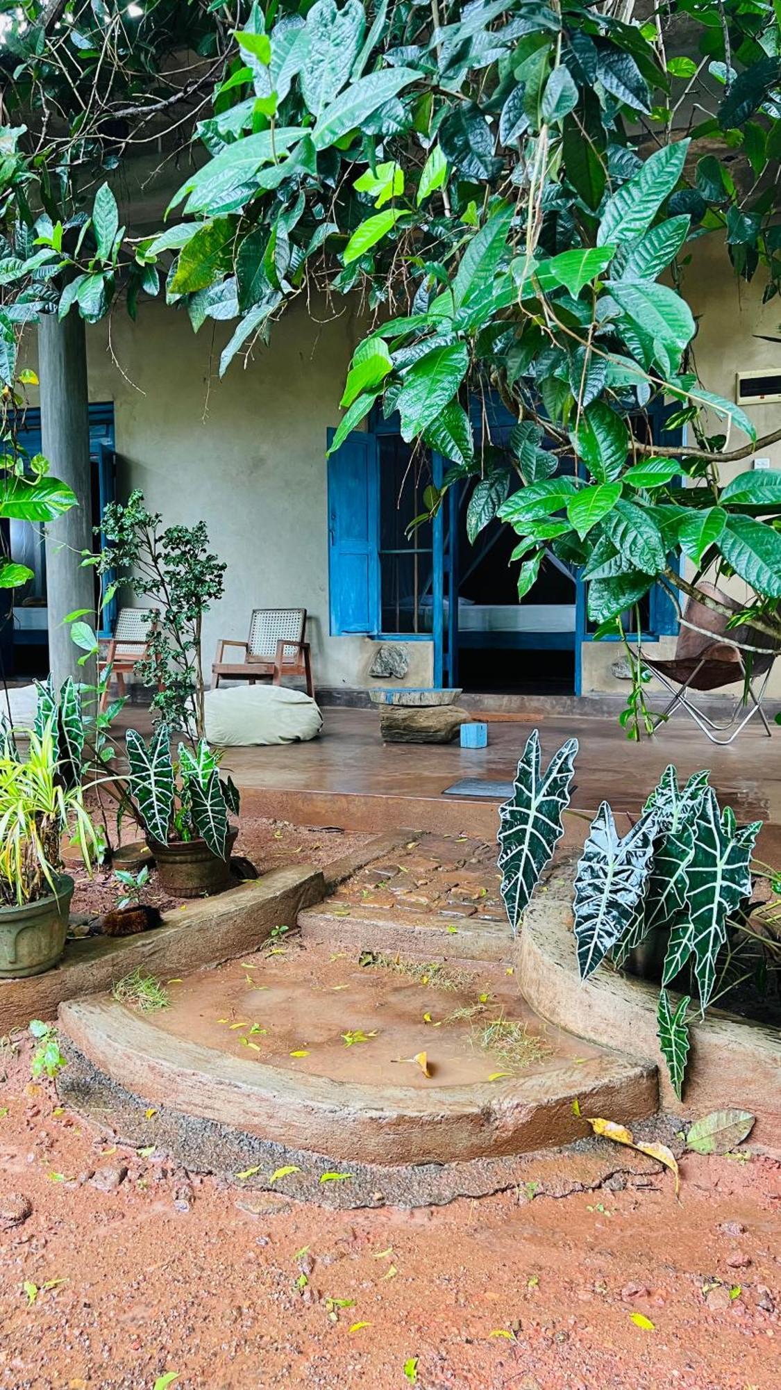 Kataragama Homestay Dış mekan fotoğraf