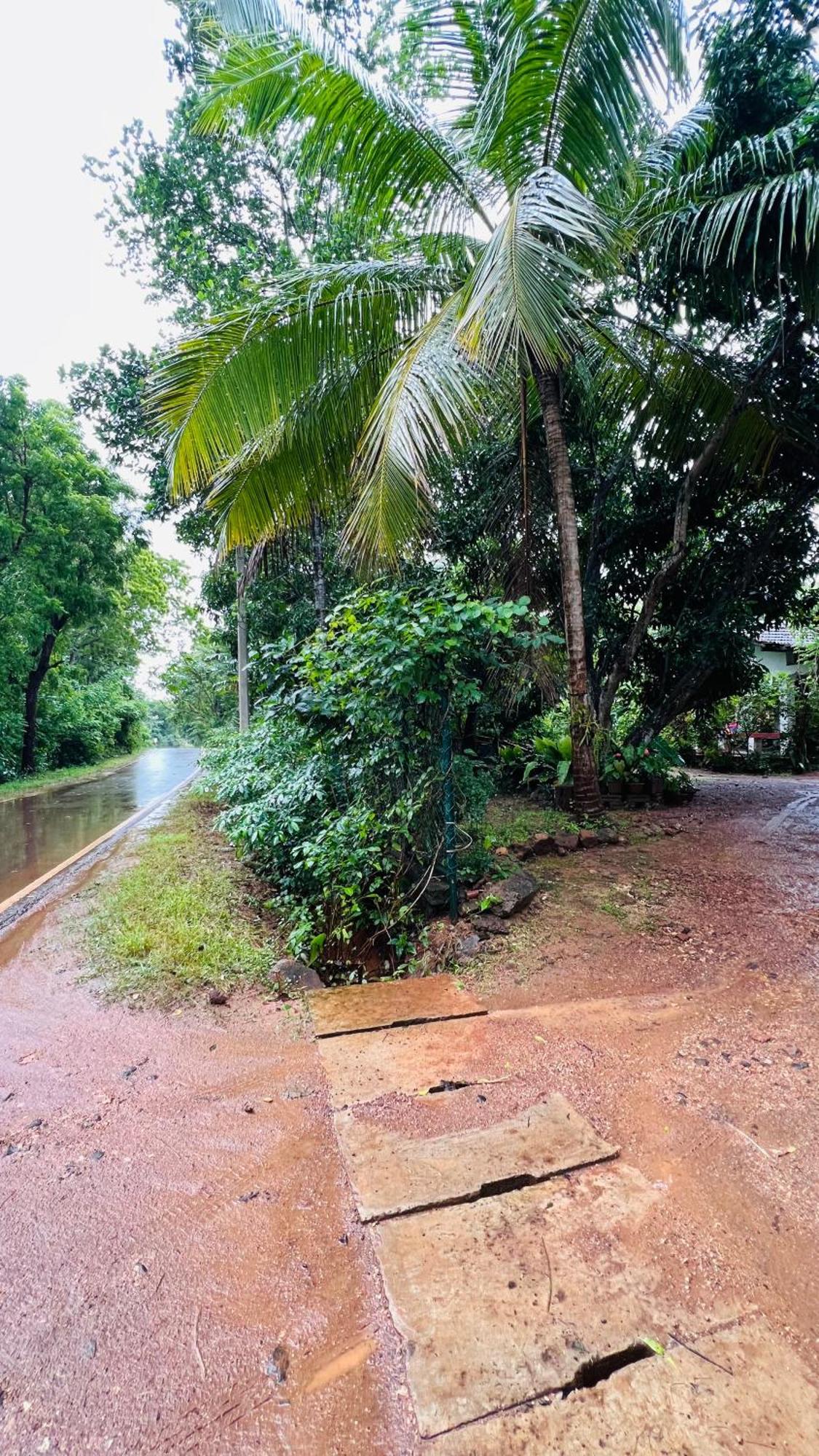 Kataragama Homestay Dış mekan fotoğraf