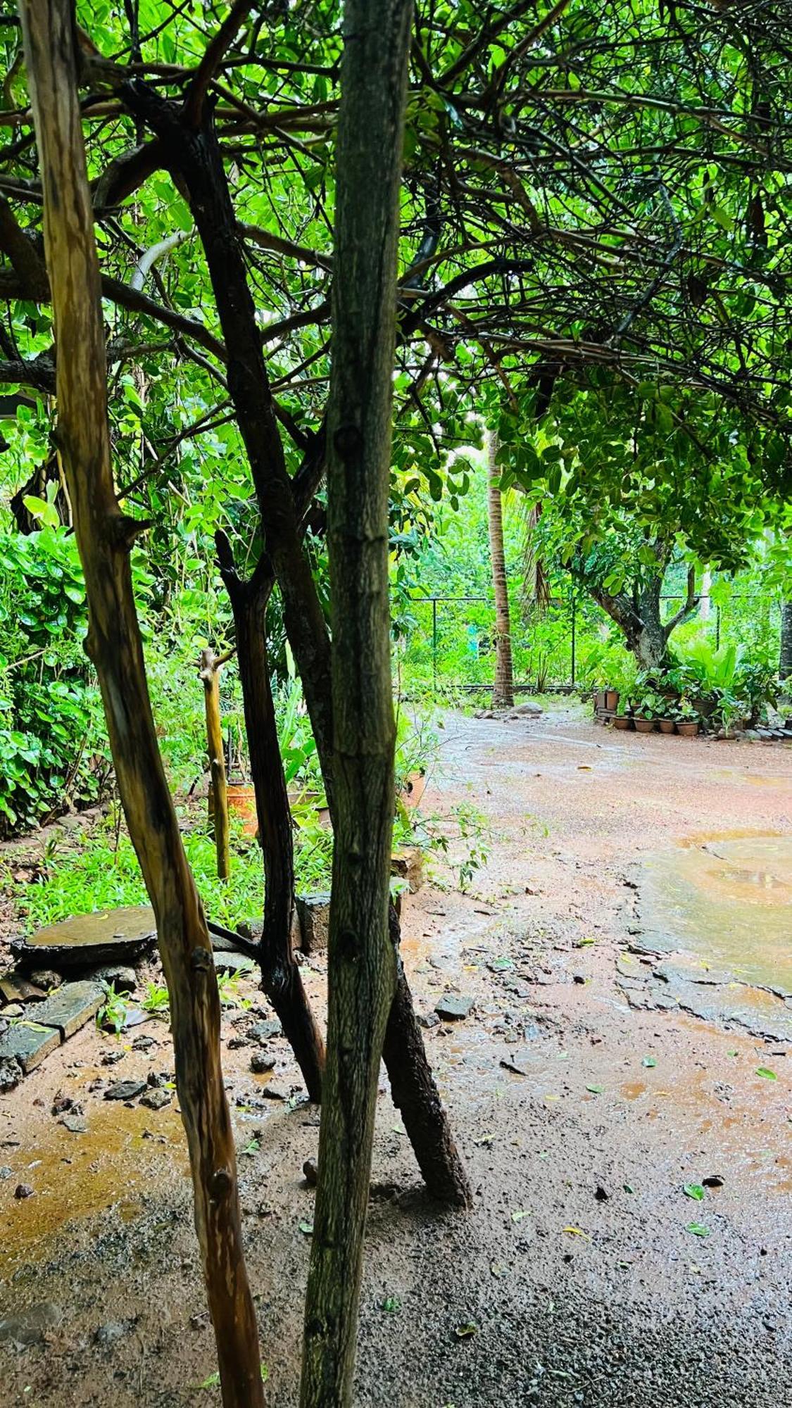 Kataragama Homestay Dış mekan fotoğraf
